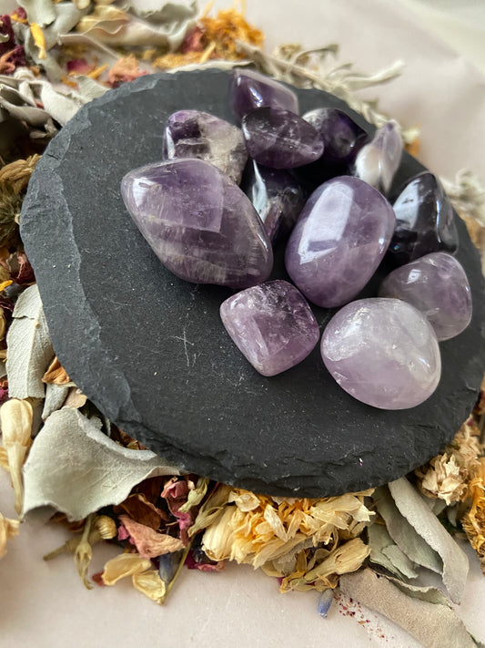 Tumbled Amethyst (Small)